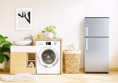 Double Door Fridge and Front Load Washing Machine Combo